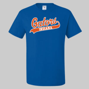 Indiana Gators Drifit Tee